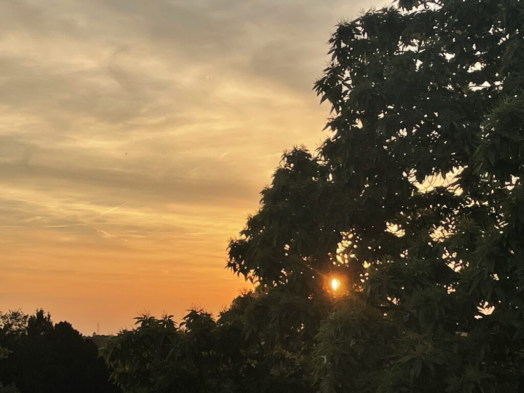 12. Mai 2024, 20:53 Uhr