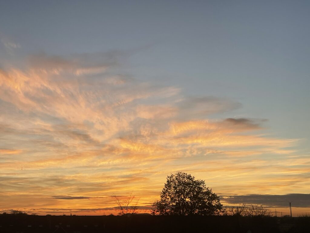 26. Oktober 2024, 18:23 Uhr